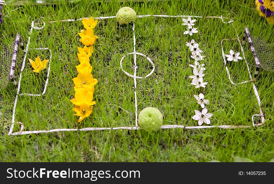 Football Field With Gates Made Of Grass