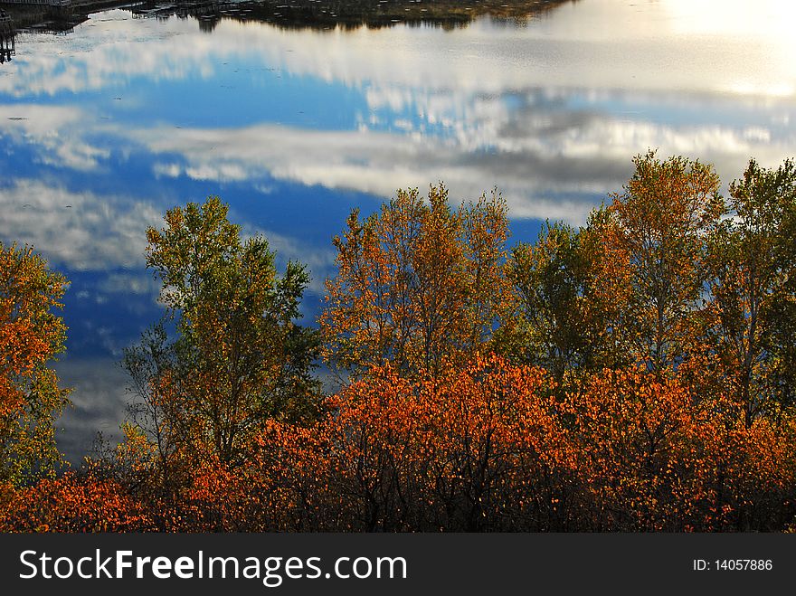Nature Scenery, reflection of trees, autumn