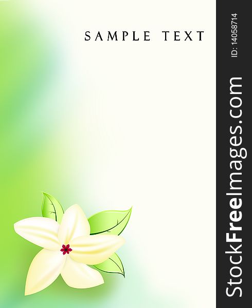 Illustration of abstract background with a flower and smooth lines