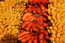 Red And Yellow Bananas Stock Photos