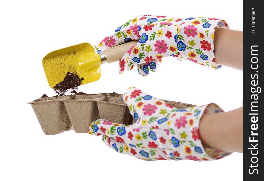 Gardener wearing colorful flower patterned gardening gloves is using a yellow shovel to place soil from a silver pail into eco-friendly Composted Cow Manure Pots used for transplants- environmentally responsible seed starters. isolated on white 6254. Gardener wearing colorful flower patterned gardening gloves is using a yellow shovel to place soil from a silver pail into eco-friendly Composted Cow Manure Pots used for transplants- environmentally responsible seed starters. isolated on white 6254