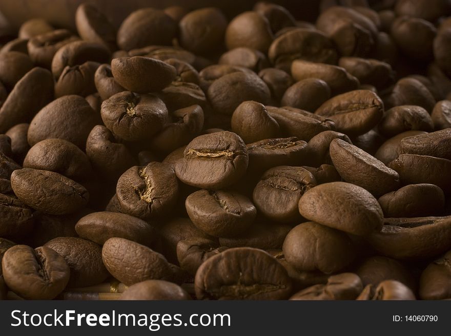 Coffee beans being shoot in macro. Coffee beans being shoot in macro.