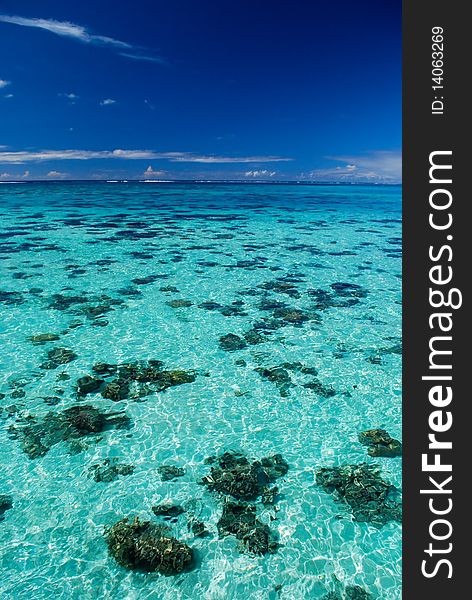 Crystal clear turquoise waters of Bora Bora. Crystal clear turquoise waters of Bora Bora