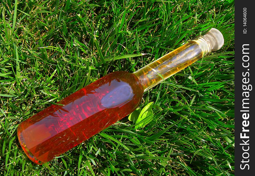 Bottle of wine on the green grass