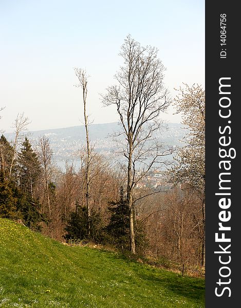A rural hillside with trees in Switzerland. There is a valley viewable in the background. Vertical shot. A rural hillside with trees in Switzerland. There is a valley viewable in the background. Vertical shot.