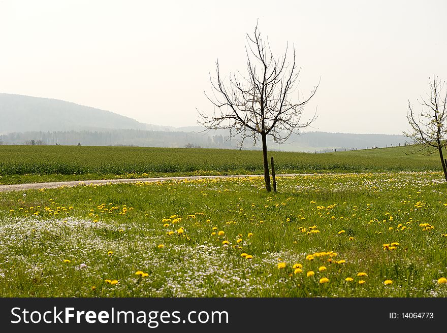 A rural road surrounded by a meadow with trees. There are hills viewable in the background. Horizontal shot. A rural road surrounded by a meadow with trees. There are hills viewable in the background. Horizontal shot.