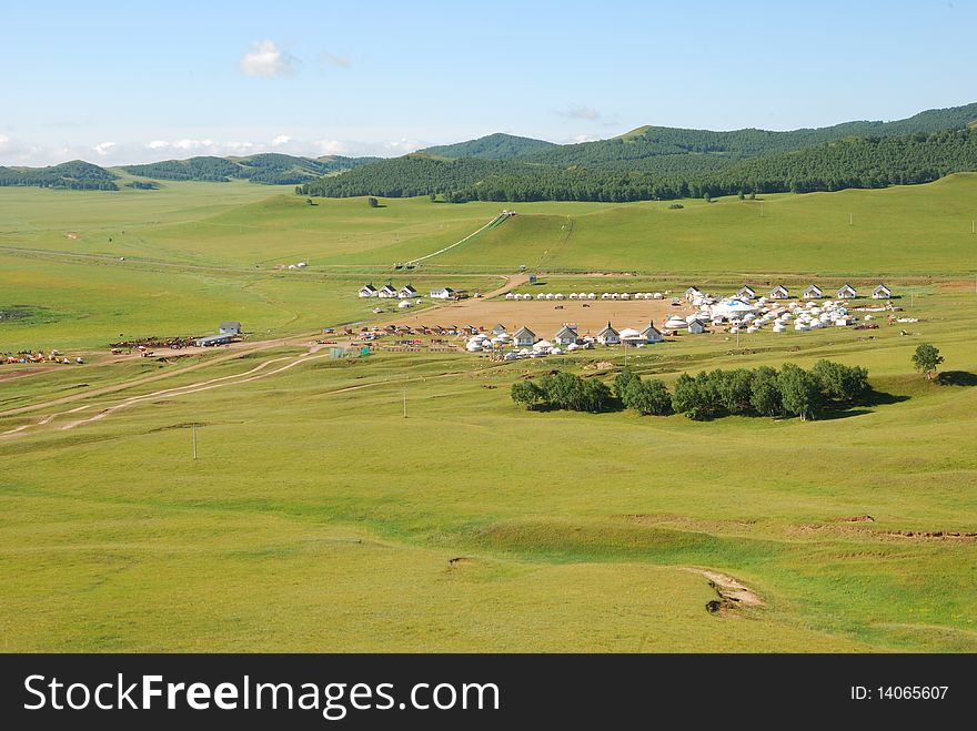 The photo was taken at inner mongolia in china. The photo was taken at inner mongolia in china