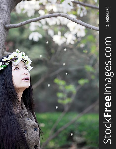 Beautiful Asian girl enjoying the cherry blossoms falling under tree. Beautiful Asian girl enjoying the cherry blossoms falling under tree.