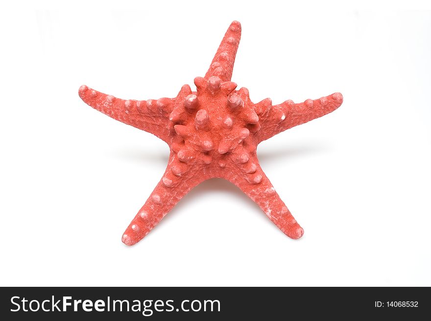 Red starfish. Isolated on a white background