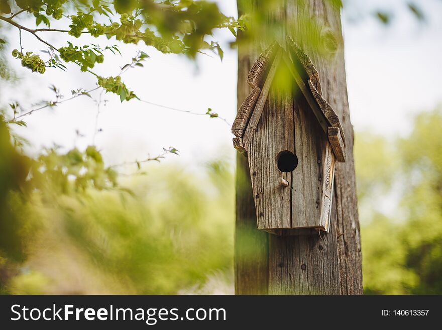 A wooden nesting box hanging on a tree.