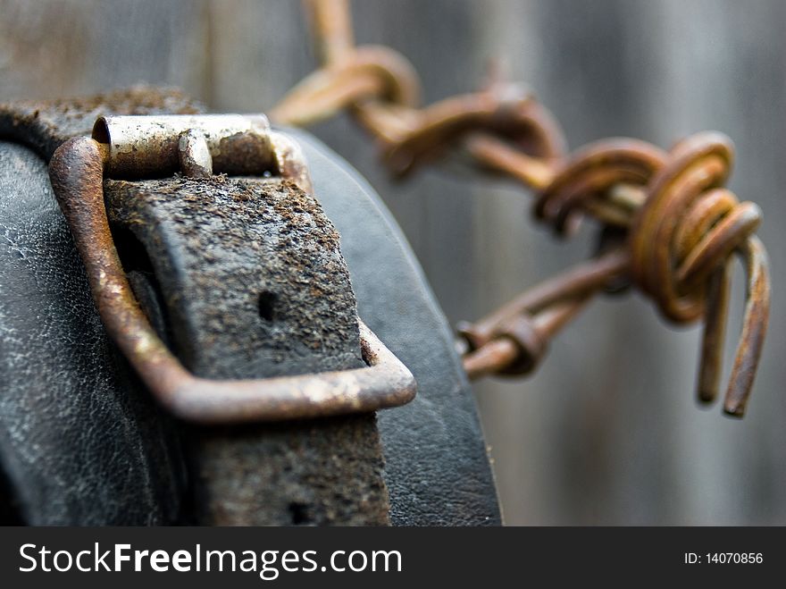 Close up of old rusty leather buckle of a spur hanging on rusty barbed wire. Close up of old rusty leather buckle of a spur hanging on rusty barbed wire