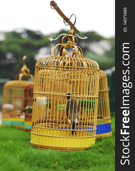 Several brown birdcage on grass