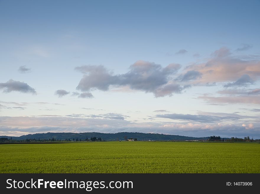 Green spring farm fields under a big sky in Oregon