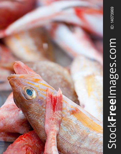 Close up of red fish for sale in a market at Marsaxlokk Malta. Close up of red fish for sale in a market at Marsaxlokk Malta