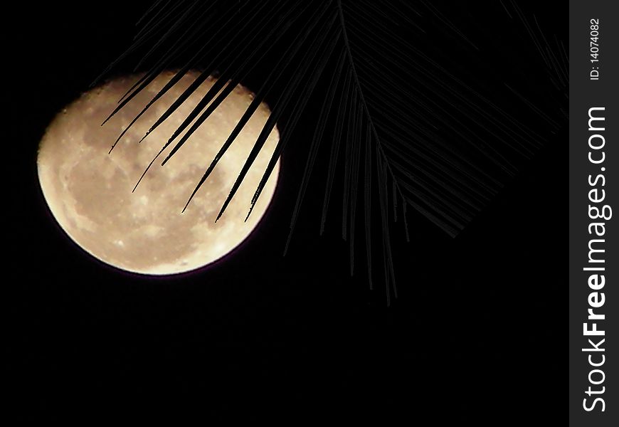Scratch on moon looks like an art or illustration,india