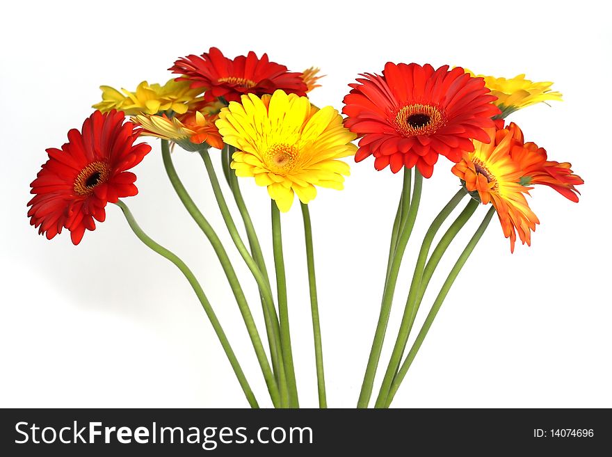 Beautiful background with orange and yellow gerberas in composition. Beautiful background with orange and yellow gerberas in composition