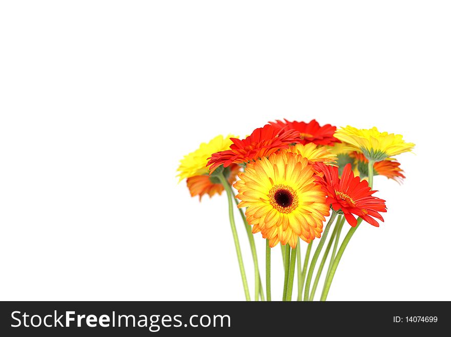 Beautiful background with orange and yellow gerberas. Beautiful background with orange and yellow gerberas