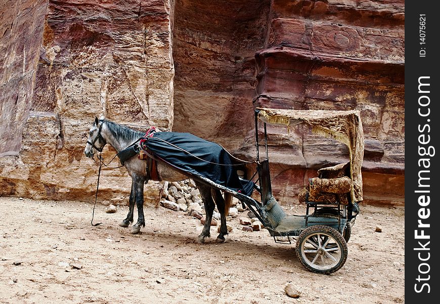 Petra in jordan with pony and carriage, eighth wonder of the world the lost city. Petra in jordan with pony and carriage, eighth wonder of the world the lost city