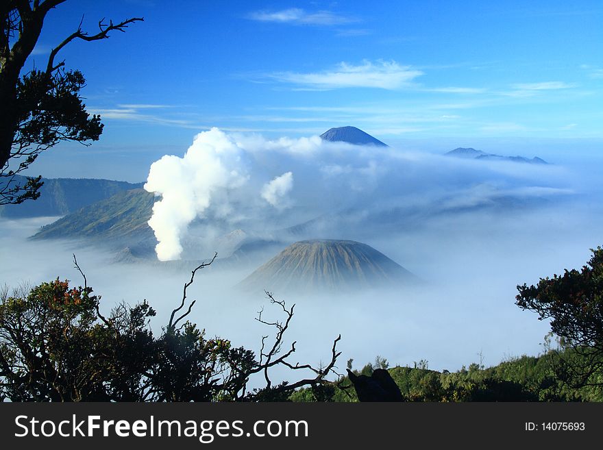 Bromo Mounatin in Malang< East Java, Indonesia. This mountain is very popular among maountain lover across the world. Bromo Mounatin in Malang< East Java, Indonesia. This mountain is very popular among maountain lover across the world.