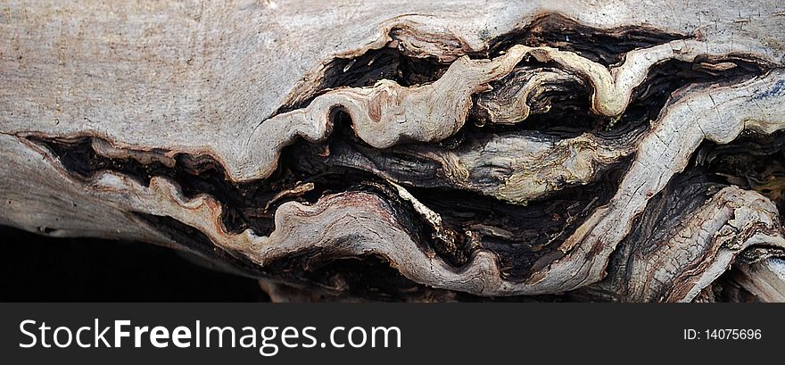 Wood texture, who are found at Kuldiga, Latvia.