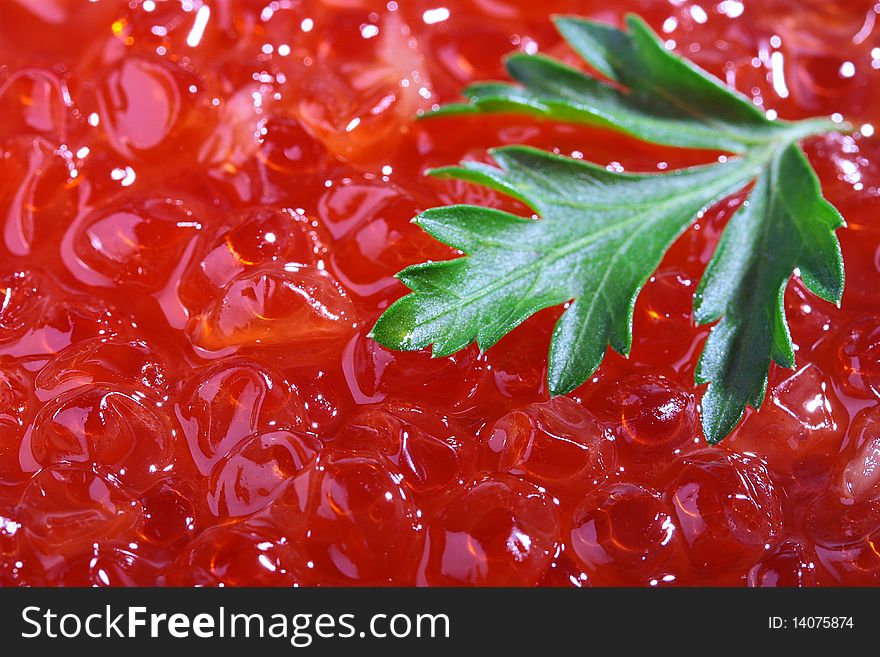 Red caviar as a background with a branch of green parsley.