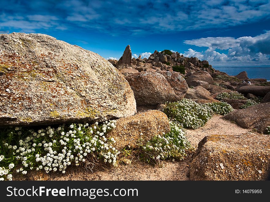 A wide angle shot showing boulders framed with alyssum disappearing into the distance. Sea gulls perch on the rocks. A wide angle shot showing boulders framed with alyssum disappearing into the distance. Sea gulls perch on the rocks.