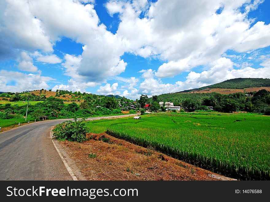 Way to the top of the mountain in Thailand chiangmai