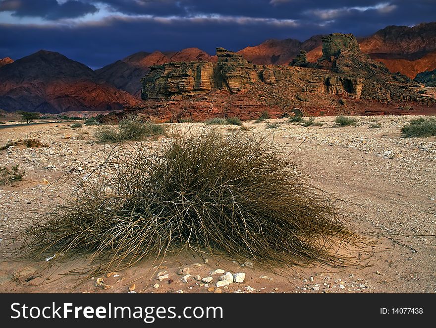 This shot was taken in winter time near Eilat city, Israel. This shot was taken in winter time near Eilat city, Israel