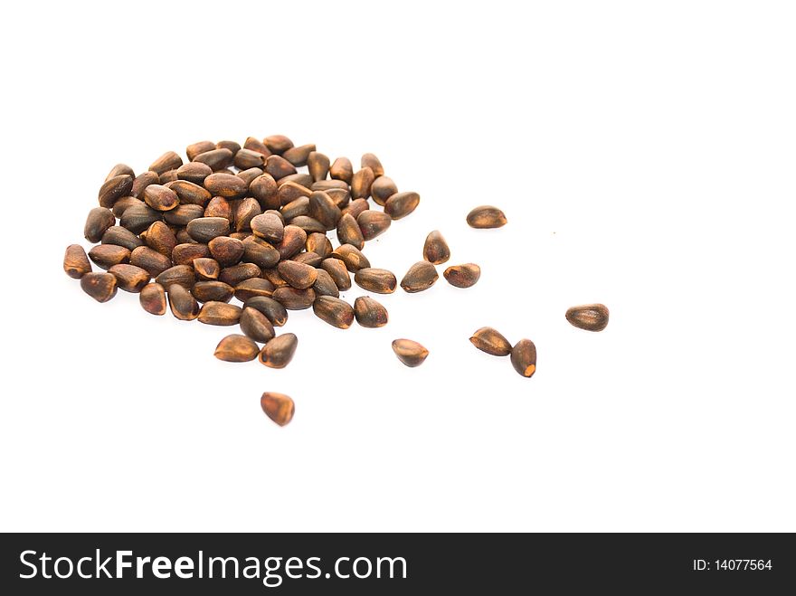 Cedar Nutlets