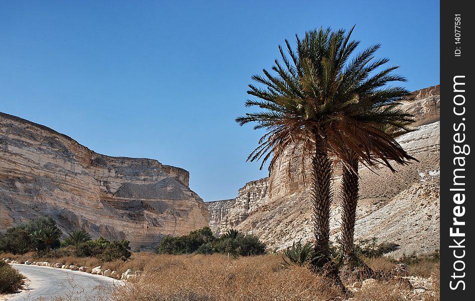 This shot was taken in desert near Sde-Boker, Israel. This shot was taken in desert near Sde-Boker, Israel