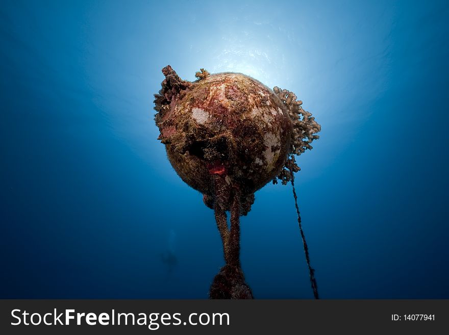 Underwater buoy with coral taken in the Red Sea.