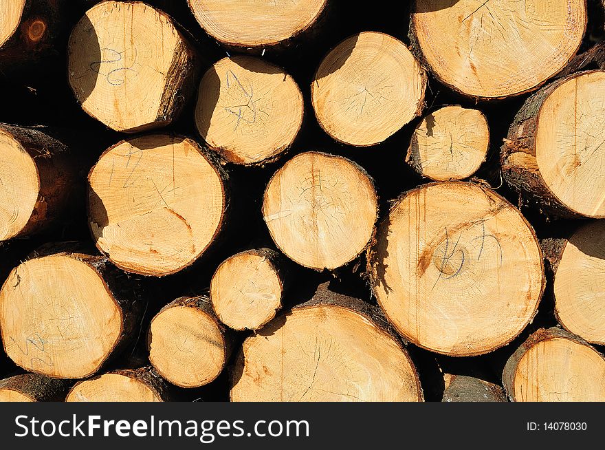 Pile of numbered wooden logs. Pile of numbered wooden logs