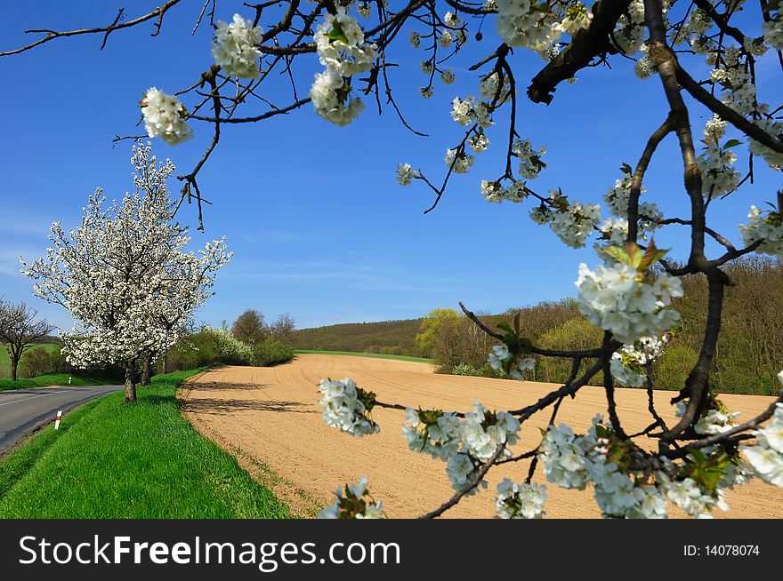 Picturesque View Of Plowed Field