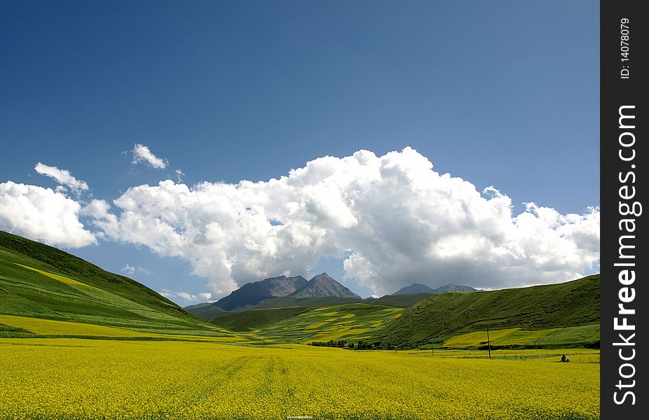 under a blue sky in China, Qinghai. under a blue sky in China, Qinghai