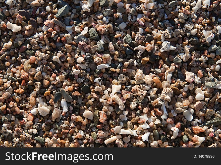 Background of small pebbles and seashell at the sea shore