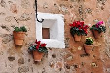 Pots With Flowers Royalty Free Stock Photos Pots With Flowers Royalty Free Stock Photos