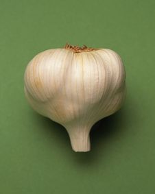 Head Of Garlic Royalty Free Stock Image Head Of Garlic Royalty Free Stock Image