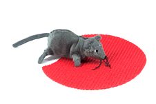 Mouse Toy Stock Image Mouse Toy Stock Image