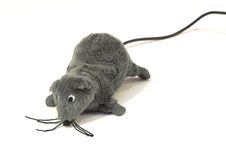 Mouse Toy Royalty Free Stock Image