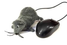 Computer Mouse And A Toy Royalty Free Stock Image