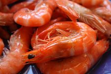 Delicious Boiled Shrimps Closeup Royalty Free Stock Photos Delicious Boiled Shrimps Closeup Royalty Free Stock Photos