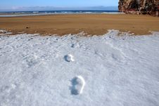 Footprints On Empty Beach On A Cold Winters Day Royalty Free Stock Image Footprints On Empty Beach On A Cold Winters Day Royalty Free Stock Image