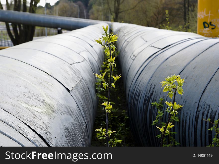 Heating line in sprintime with green leafs. Heating line in sprintime with green leafs