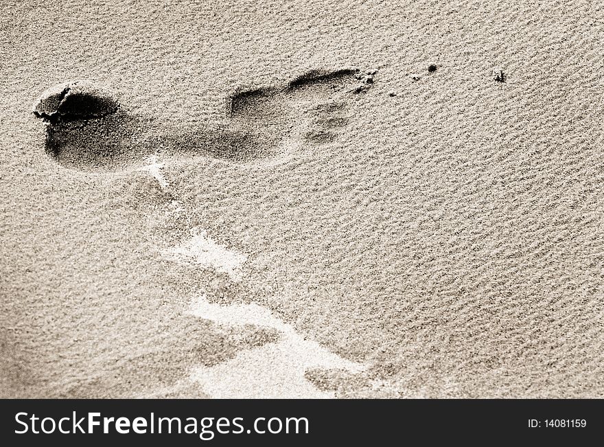 Single footprint in sand on beach. Single footprint in sand on beach.