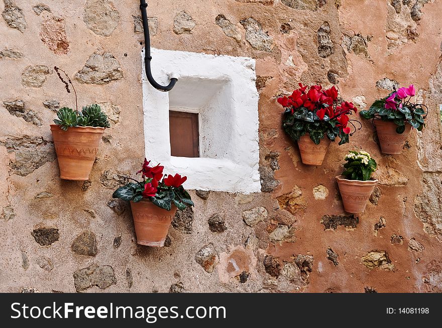 Pots with flowers on the window