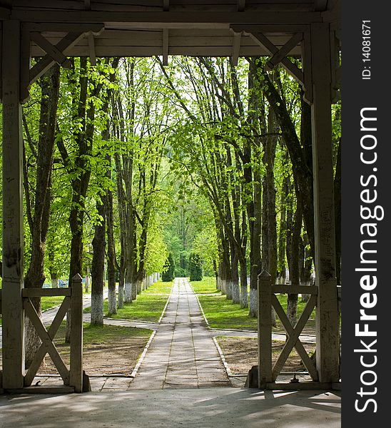 Green park view, photo taken in Romania