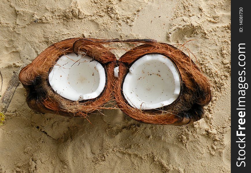 Two halves of a coconut on the beach. Two halves of a coconut on the beach