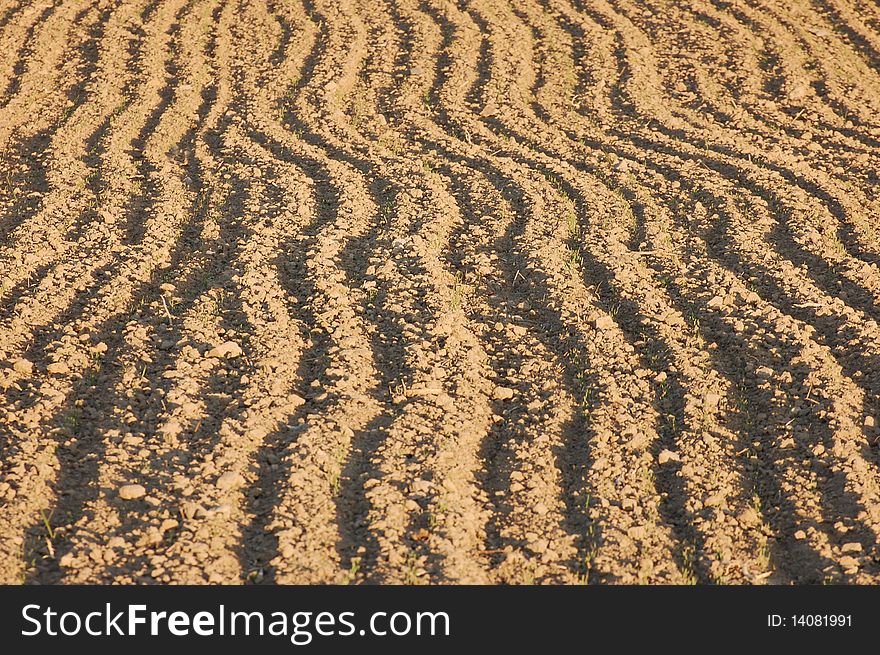Newly ploughed agricultural field in spring