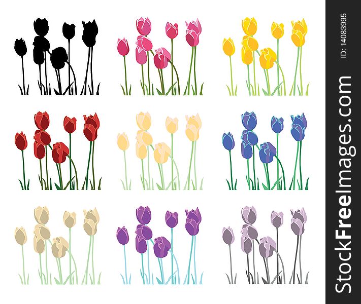 Set of multicolor 9 tulips. Set of multicolor 9 tulips
