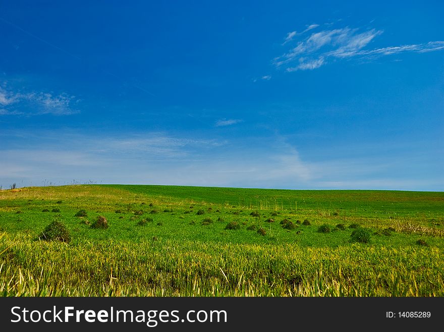 Beautiful countryside spring meadow landscape